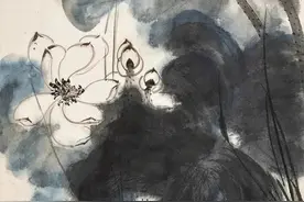 张大千荷花作品集图片