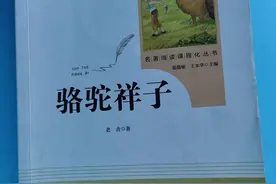 读《骆驼祥子》后感图片