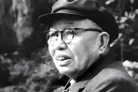 1978年谭震林谈及淮海战役时，为何大怒道：贪天之功，无耻之尤？图片