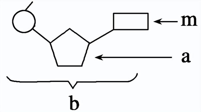 高中生物-基因的本质与表达