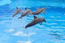 真正厉害的女人，对男人的态度只有：四个字图片