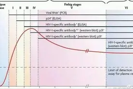 艾滋病窗口期，潜伏期，急性期，无症状期，艾滋病期，一文读懂图片