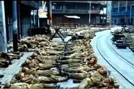 解放军10万大军睡街头轰动全球，上海市民打开窗户时，眼眶湿润了图片