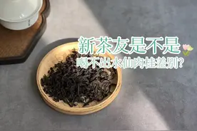在茶桌上，新手如何快速区分水仙、肉桂？老茶客公开了4点方法图片