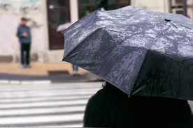 我总结的钓鱼十点危害，分享给你图片