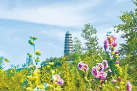充分发挥红军小学辐射带动作用大力传承红色基因图片
