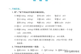 部编二年级语文下册（易错音、多音字、形近字、同音字）专项复习图片