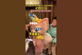 迪士尼互动禁忌！游客伸手摸玲娜贝儿头被制止，专家揭示危害原因图片