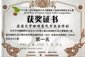 火出圈！云南佤族姑娘种的咖啡豆，走进了联合国图片