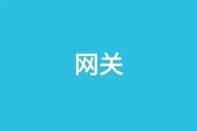 5 种 API 网关技术选型，yyds图片