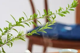 散文：细品岁月，百事从欢图片
