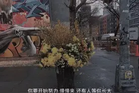 文案 | 纵有疾风起，人生不言弃图片