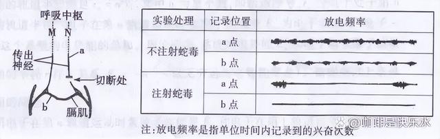 高中生物-人体内环境稳态的生理意义及调节