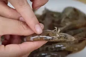 虾头能不能吃？黄色的是屎还是黄？很多人搞错了，看完涨知识图片