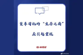 半月谈评：货车不能停，货车司机的“生存之痛”也应引起重视图片