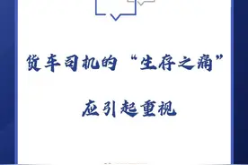 半月谈评：货车不能停，货车司机的“生存之痛”也应引起重视图片