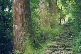 民间故事： 狡猾的猩猩图片