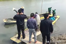 湖北孝感4名农民捕捞野生田螺被刑拘！田螺是否为国家保护动物？图片