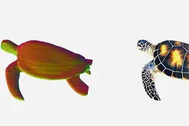 GTC24 | 即时生成模型：NVIDIA 生成式 AI 研究实现在 1 秒内生成 3D 形状图片
