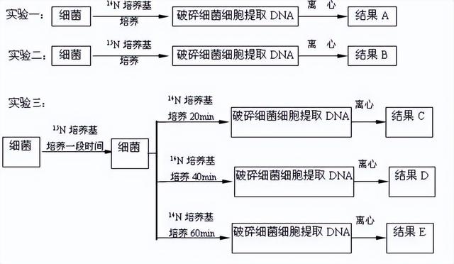 高中生物-基因的本质与表达