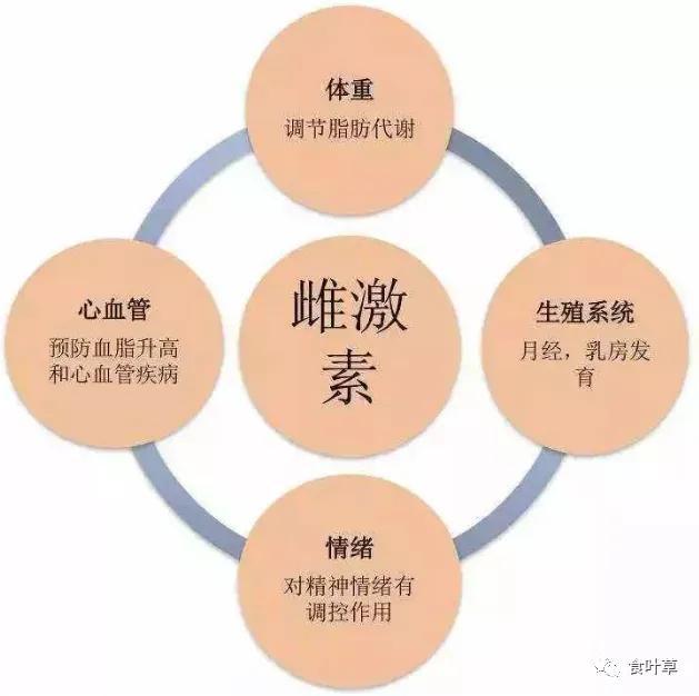 食叶草氨基酸多肽精蛋白与大健康产业