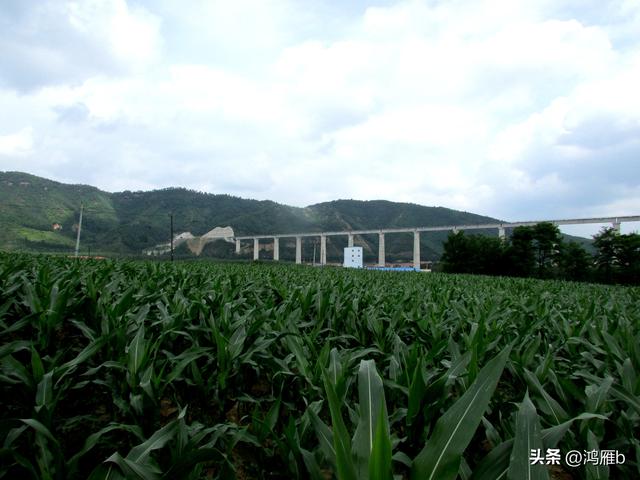 导线不够长还差五米，情急之下我毅然拧爆了发爆器