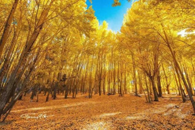 һֵ̨�������й������ǵ��ֻ��������и�ϸ���������أ��ж���ǧ����