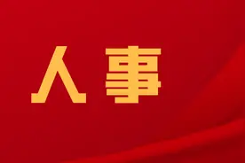 关于对拟任干部进行公示的公告图片