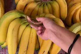 商贩自己也不吃！买香蕉时，遇到这“四种”尽量绕开，千万别踩雷图片