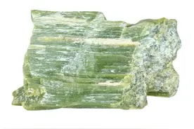 一味神奇的中药，专补肾壮阳，肾虚阳痿很适合。图片