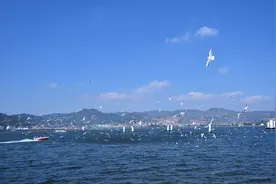去云南昆明旅游-滇池游玩保姆级攻略图片