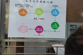 公立幼儿园天天玩不教学，大家却挤破头都想进，到底好在哪？图片