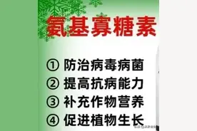 “万能农药”氨基寡糖素的作用与用法图片