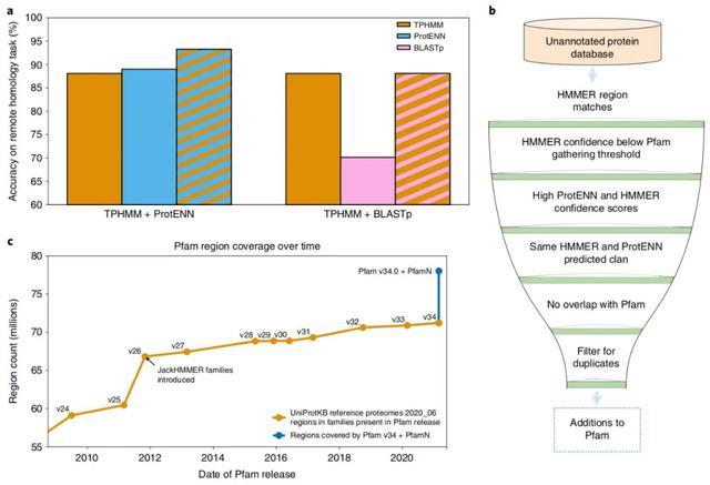 谷歌AI一次注释了10%的已知蛋白质序列，超过人类十年研究成果