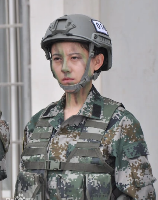 《特种兵之火凤凰》9年演员现状差距大:主角发展平平,女配火了