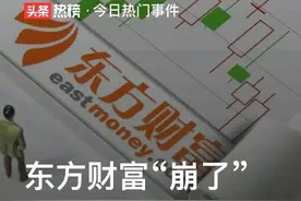 东方财富崩了！散户全程目睹从涨停到跌停，一天喜提20点损失图片