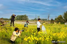 大荔县摄影爱好者采风最美村镇图片