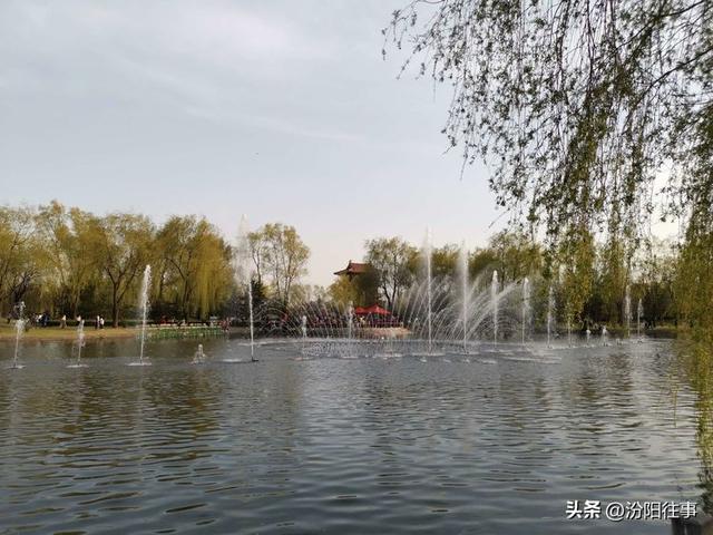 汾阳往事｜殷维明：杏花村游记——汾酒工业园林赏杏花