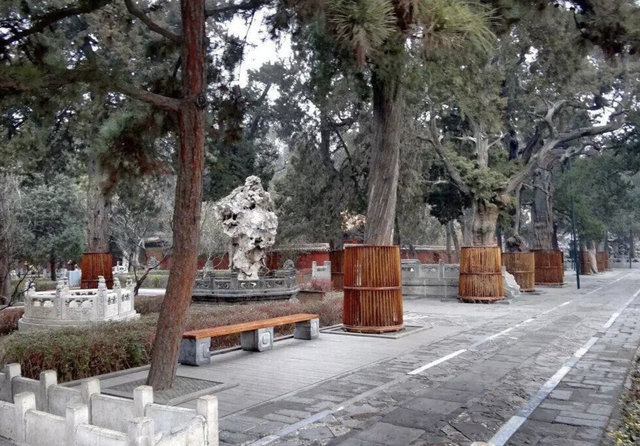 走进故宫｜御花园（1）