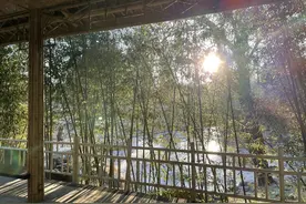 北京免费又热闹的紫竹院公园图片