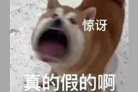 可爱表情包 | 真的假的图片