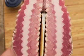50张照片展示那些生活中不常见但有趣的事图片