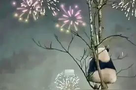 如果没有他，你们的每一天都会是盛世！图片