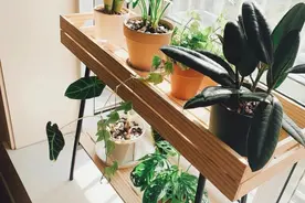 阳台花架灵感图片分享收藏图片