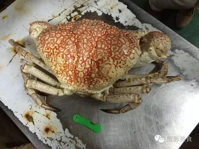 花胶选几级的 花胶等级顺序鱼胶排名大全