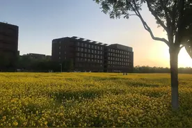 在研究所工作是一种什么样的体验（四）图片