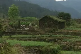 “三鸟进宅门，不富也添喜”，哪三类鸟？有什么寓意？图片