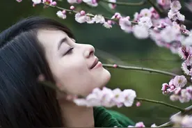 柳绿桃红莺啭，天蓝水暖春明（欣赏和收藏）图片