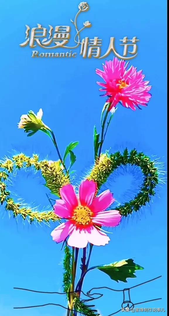 一束鲜花，醉蓝天