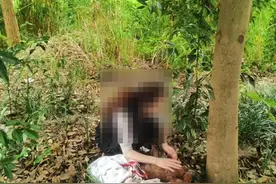 毒狗”事件频发，恨狗者一般用什么药物毒狗？遇到快速判断施救图片